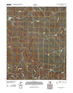 Humdinger Spring 2010 topographic map thumbnail