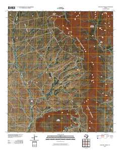Paso Del Norte 2010 topographic map thumbnail