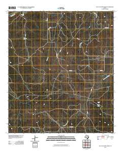 San Augustine Draw 2010 topographic map thumbnail