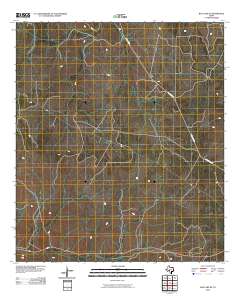 Ray Lake SE 2010 topographic map thumbnail
