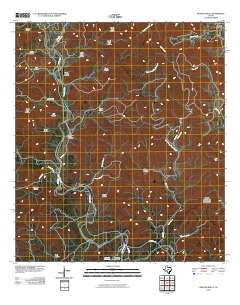 Reagan Wells 2010 topographic map thumbnail