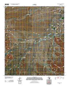 Toyahvale 2010 topographic map thumbnail