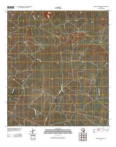 Turkey Mountain 2010 topographic map thumbnail