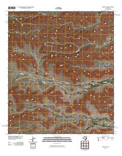 Tesnus NE 2010 topographic map thumbnail