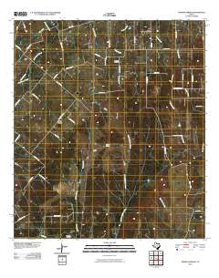 Thomas Springs 2010 topographic map thumbnail