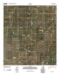 Ray Point 2010 topographic map thumbnail
