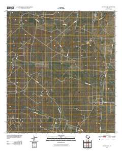 Benavides NE 2010 topographic map thumbnail