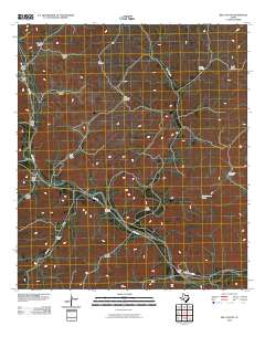 Bee Canyon 2010 topographic map thumbnail