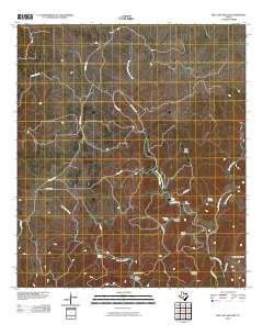 Bee Cave Hollow 2010 topographic map thumbnail