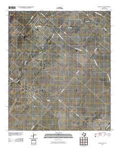Buena Vista 2010 topographic map thumbnail