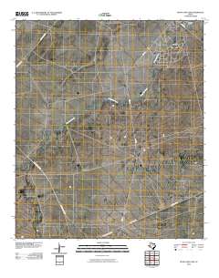 Buena Vista SW 2010 topographic map thumbnail