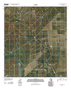 Cayman Lake 2010 topographic map thumbnail