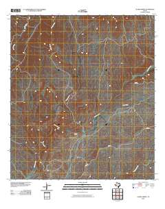 Alamo Spring 2010 topographic map thumbnail
