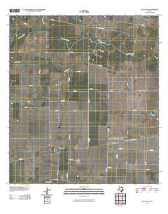 Agua Dulce 2010 topographic map thumbnail