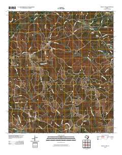 Boggy Lake 2010 topographic map thumbnail