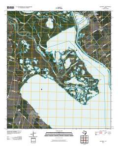 Austwell 2010 topographic map thumbnail