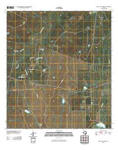Biel Lake North 2010 topographic map thumbnail