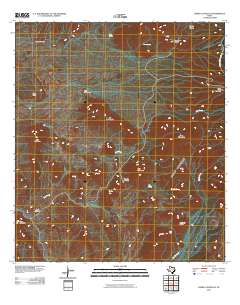 Cerro Castellan 2010 topographic map thumbnail
