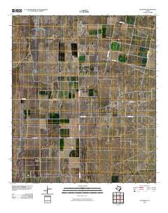 Coyanosa 2010 topographic map thumbnail