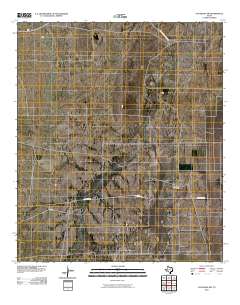 Coyanosa NW 2010 topographic map thumbnail