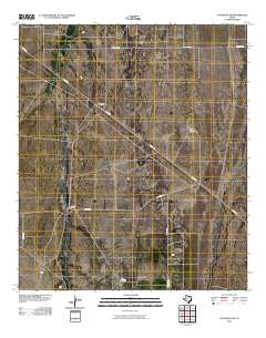 Coyanosa SW 2010 topographic map thumbnail