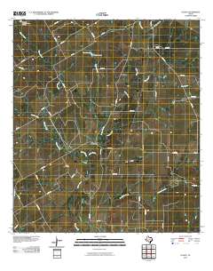 Ecleto 2010 topographic map thumbnail
