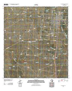 Falfurrias 2010 topographic map thumbnail
