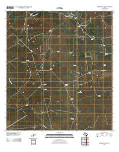 Hebbronville NW 2010 topographic map thumbnail