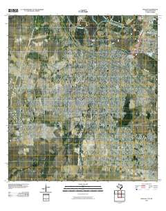 Hidalgo 2010 topographic map thumbnail