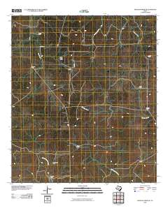 McKegan Draw NE 2010 topographic map thumbnail