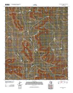 Lone Mountain 2010 topographic map thumbnail