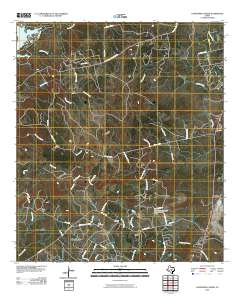 Longhorn Cavern 2010 topographic map thumbnail