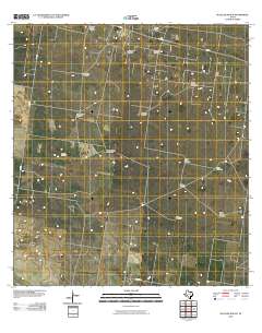 McAllen Ranch 2010 topographic map thumbnail