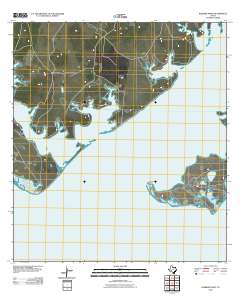 Kleberg Point 2010 topographic map thumbnail