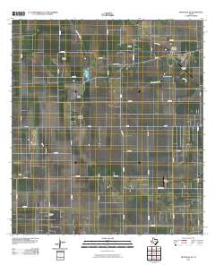 Petronila NE 2010 topographic map thumbnail