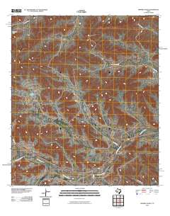 Ninemile Ranch 2010 topographic map thumbnail