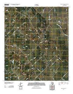 Mount Olive 2010 topographic map thumbnail