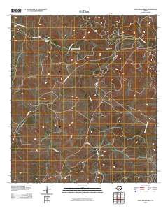 Paint Rock Spring 2010 topographic map thumbnail
