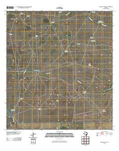 Paisano Lake 2010 topographic map thumbnail