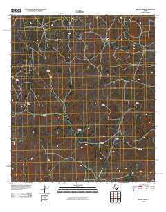 Brushy Draw 2010 topographic map thumbnail