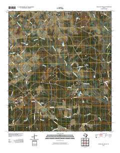 Lovelady South 2010 topographic map thumbnail