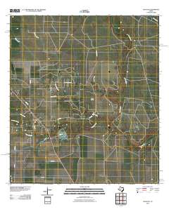 Papalote 2010 topographic map thumbnail