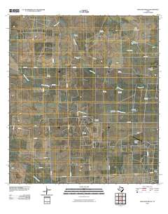 Seeligson Ranch 2010 topographic map thumbnail