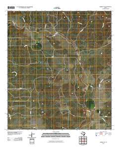 Sabinal NE 2010 topographic map thumbnail