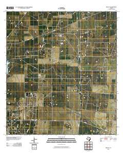 Rincon 2010 topographic map thumbnail