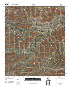Sherbino Ranch 2010 topographic map thumbnail