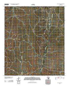 Ray Lake SW 2010 topographic map thumbnail