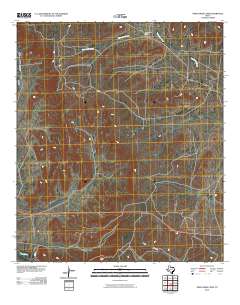 Twelvemile Camp 2010 topographic map thumbnail
