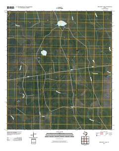 Twin Mott Lake 2010 topographic map thumbnail