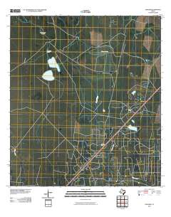 Vidaurri 2010 topographic map thumbnail